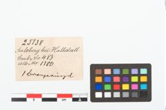 Etikett zu Bronzering (NHMW-PRAE-025138)